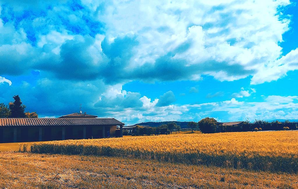 Agriturismo Giuncola & Granaiolo Rispescia Εξωτερικό φωτογραφία