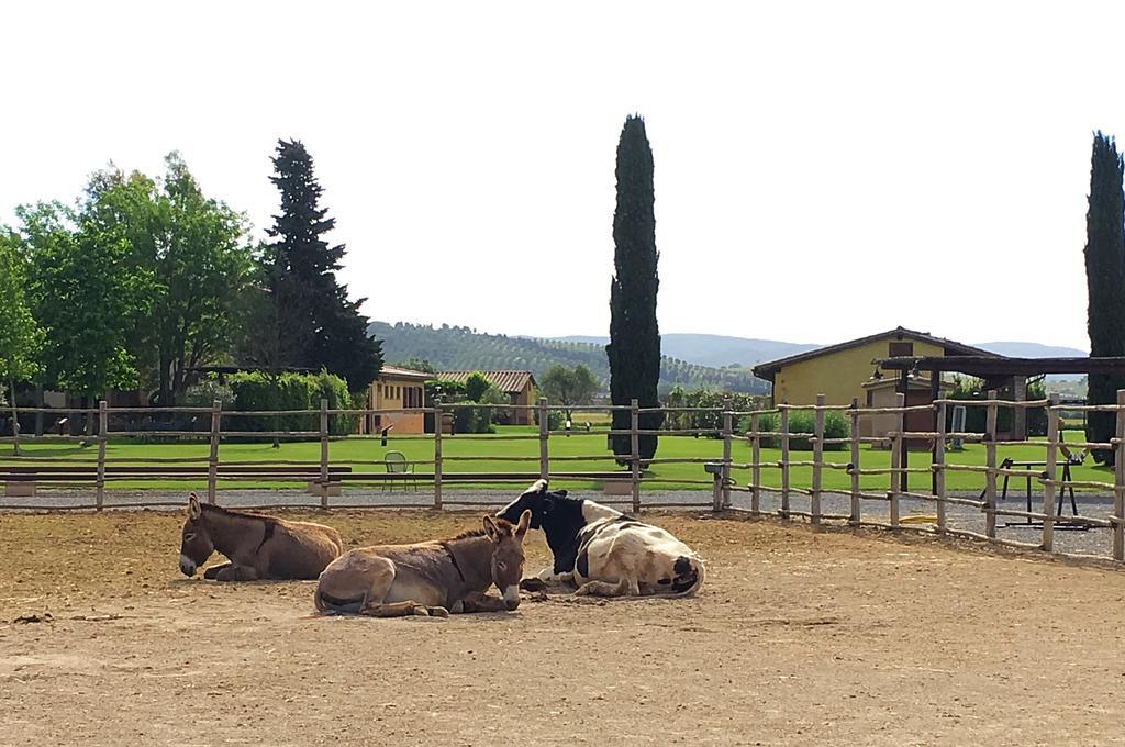 Agriturismo Giuncola & Granaiolo Rispescia Εξωτερικό φωτογραφία