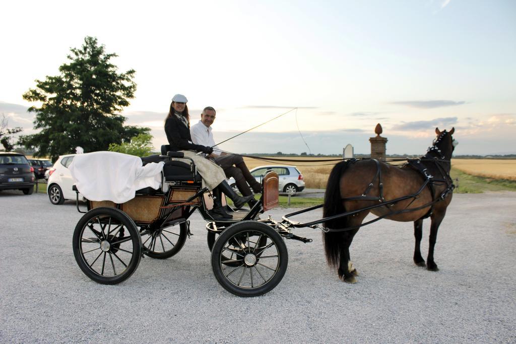 Agriturismo Giuncola & Granaiolo Rispescia Εξωτερικό φωτογραφία