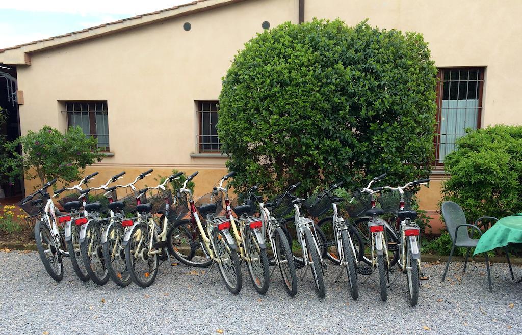 Agriturismo Giuncola & Granaiolo Rispescia Εξωτερικό φωτογραφία