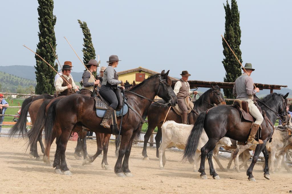 Agriturismo Giuncola & Granaiolo Rispescia Εξωτερικό φωτογραφία