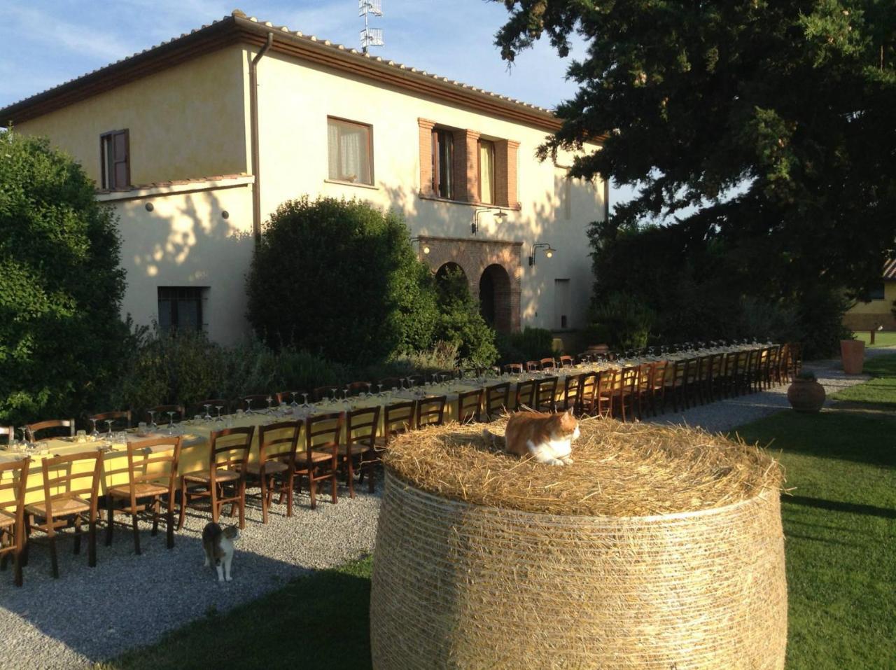 Agriturismo Giuncola & Granaiolo Rispescia Εξωτερικό φωτογραφία